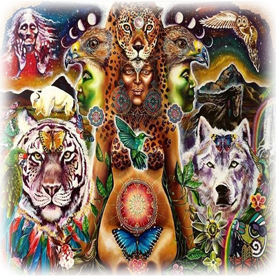 Florais Etéricos Xamânicos formam um conjunto que possuem a essência dos Animais de Poder