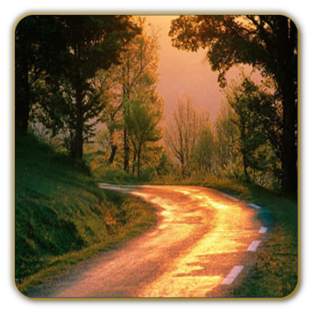 Abra todos os seus caminhos e seja feliz.